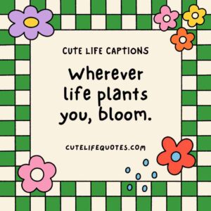 cute life captions, Instagram captions, uplifting captions, happy quotes, positive captions, adorable captions, life quotes, inspirational captions, social media captions, short captions, cute quotes, sweet captions, positive quotes, happiness captions, captions for Instagram, life captions, motivational captions, 100 cute life captions, inspirational captions for life, sweet life captions, adorable Instagram captions, happiness quotes, positive captions for social media, short positive quotes, uplifting quotes for life, Instagram captions for joy, cute short quotes