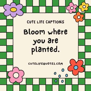 cute life captions, Instagram captions, uplifting captions, happy quotes, positive captions, adorable captions, life quotes, inspirational captions, social media captions, short captions, cute quotes, sweet captions, positive quotes, happiness captions, captions for Instagram, life captions, motivational captions, 100 cute life captions, inspirational captions for life, sweet life captions, adorable Instagram captions, happiness quotes, positive captions for social media, short positive quotes, uplifting quotes for life, Instagram captions for joy, cute short quotes